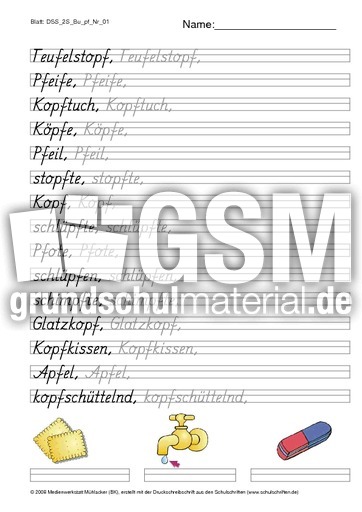 DSS_2S_Bu_pf_Nr_01.pdf